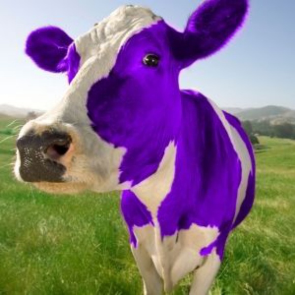 moo234